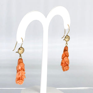 14K Yellow Gold Carved Coral Dangle Earrings CE0006