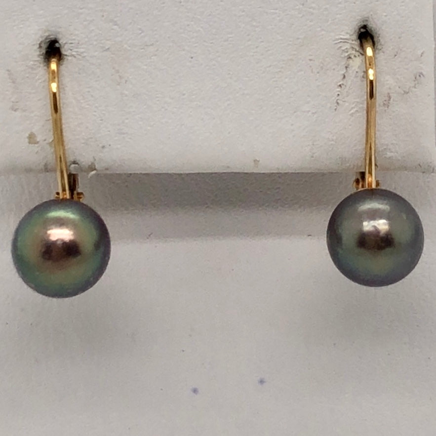 14K Yellow Gold Black Pearl Earrings  CE0202