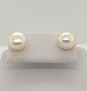 14K Yellow Gold Round White Button Pearl Stud Earrings  CE0213