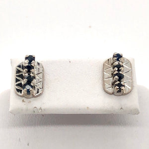14K White Gold Rectangular Earrings with Blue Stones CE0203