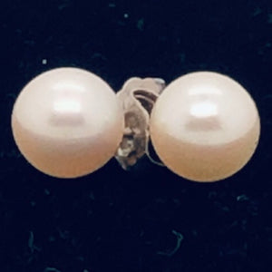 14K White Gold 6.7mm Pearl Earrings  CE0162