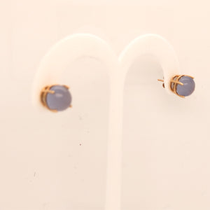 14K Yellow Gold Calceony Stud Earrings  CE0129